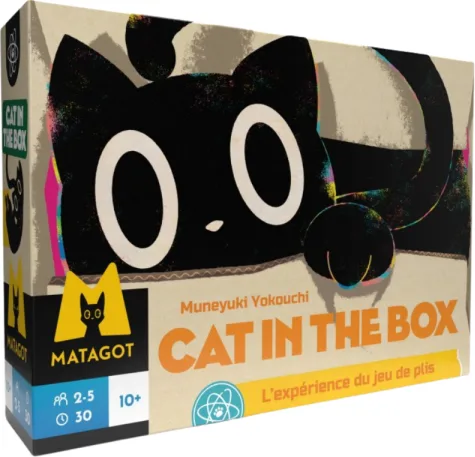 Cat in the Box